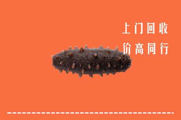 高价求购：拉萨回收海参