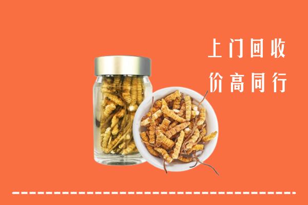 拉萨回收冬虫夏草